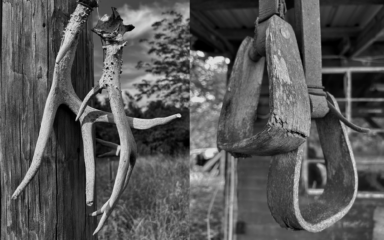 photo banner Photography Competition